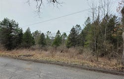 Dingman Hill Road, Bainbridge, NY 13733