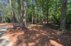 Brims Grove Road, Pinnacle, NC 27043