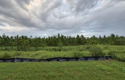 8417 DANBURY Lane, HUDSON, FL 34667