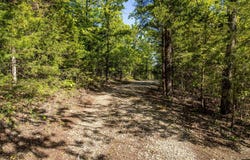 CR 476 lot: 7, Clarkridge, AR 72623