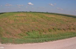 2690 Georgia Avenue, Humboldt, IA 50548