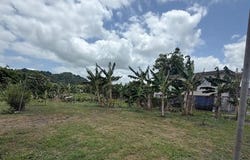 BO. LIMONES, YABUCOA, 00767