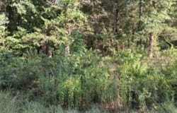 Dogwood Drive, Murchison, TX 75778