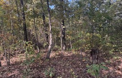 Tbd Yy Highway, Norwood, MO 65717
