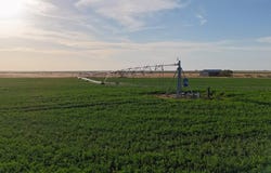 County Rd 181, Brownfield, TX 79316