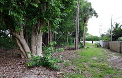 Lantana Road, Atlantis, FL 33462