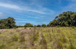 250 Deer Run, Mountain Home, TX 78058
