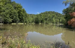 400 Clearfork Road, Morehead, KY 40351