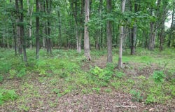 20 IRON BRIDGE Road, PIPERSVILLE, PA 18947