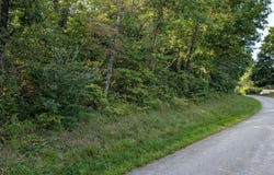 300+ Hackney Ln, Bedford, KY 40006