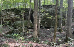 2869 N State Route 654, Marion, KY 42064
