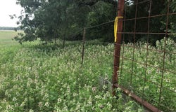 1672 Sayers Rd, Bastrop, TX 78602