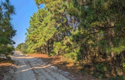 2001 Midland Road, Corolla, NC 27927