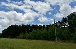 Old State Line Road, Tylertown, MS 39667