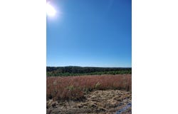 21 Fredonia Road, Dunlap, TN 37327