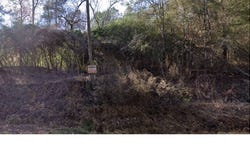 250 Jackson Street, Carrollton, MS 38917