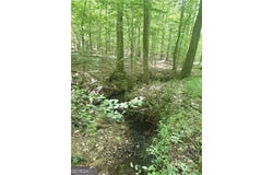 Benson Road, Dallas, GA 30132
