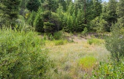 1925 Castle View Drive, Victor, MT 59875