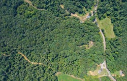 2445 PITTMAN Rd, Somerville, TN 38068