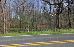 N SCENIC HWY, MOUNT SOLON, VA 22843