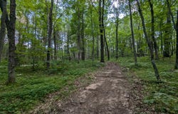 Fosmo lot: 2, Webster, WI 54893