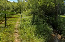 Hickman Fork Rd, Louisa, KY 41230