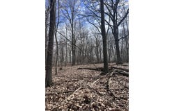 8453 S Durand Road, Durand, MI 48429