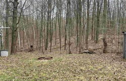 ironwood, Lupton, MI 48635
