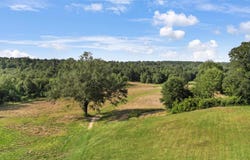 102 PR 3174, Gilmer, TX 75644