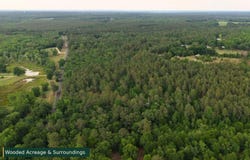 0 Lot 8 Holiness Church Road, Wagener, SC 29164