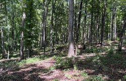 PULLMAN LANE lot: 1 & 2, Greensboro, GA 30642