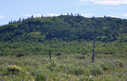 12951 MS Road, Glade Park, CO 81522