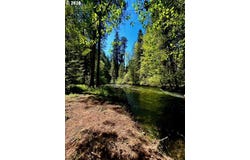 McKenzie Hwy, McKenzieBridge, OR 97413