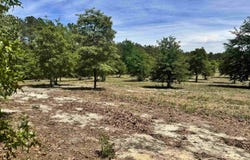 1353 Cheraw Rd, Cassatt, SC 29032