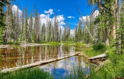 Stunner Pass, Platoro, CO 81120