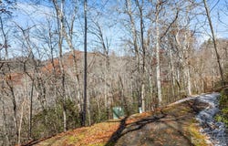 151 Trout Lily Lane, Tuckasegee, NC 28783