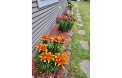 587 N Lewis, Shepherd, MI 48883