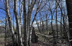 02 HICKORY ROAD, Curtiss, WI 54422