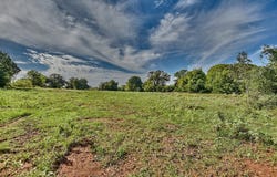 1361 CR 331, Lexington, TX 78947