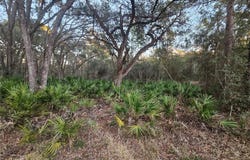 ROSEHILL Drive, WEBSTER, FL 33597
