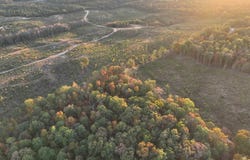 Mabelvale, AR 72103