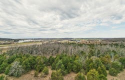 11239 Stave Mill Road, Mountain Grove, MO 65711
