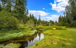 215 Gordon Dr, Priest Lake, ID 83856