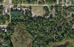 Lilly Avenue, Panacea, FL 32346