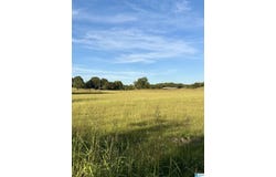 740 WATTS ROAD, MUNFORD, AL 36268