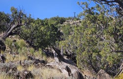 N6448, St. Johns, AZ 85936
