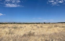 Tumbling T Drive, Springerville, AZ 85938