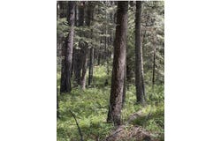 Sandhill Rd, Winchester, ID 83555