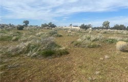 Vinton, Phelan, CA 92371