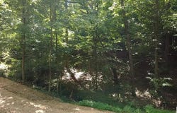 Fuller Harding Road, Campbellsville, KY 42718